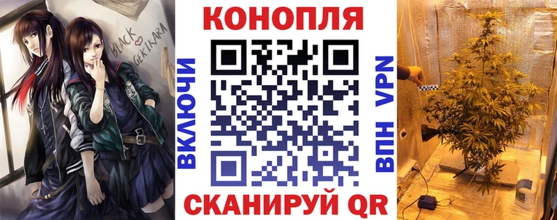 Канабис MAZAR  цены наркотик  Завитинск 